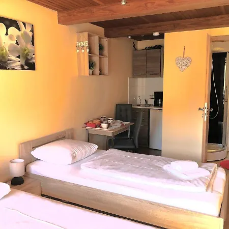 Apartmán Maximilianhaus *